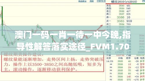 澳门一码一肖一待一中今晚,指导性解答落实途径_FVM1.70.25个性版