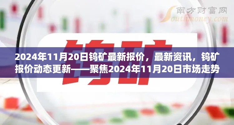 聚焦市场走势，2024年11月20日钨矿最新报价及市场动态资讯