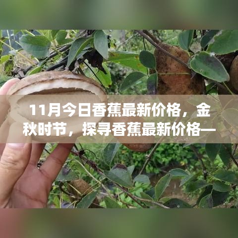 澳朗口腔简介 第444页