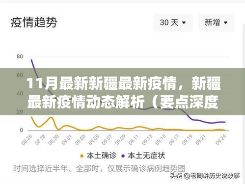 11月新疆最新疫情动态深度解析与要点探讨