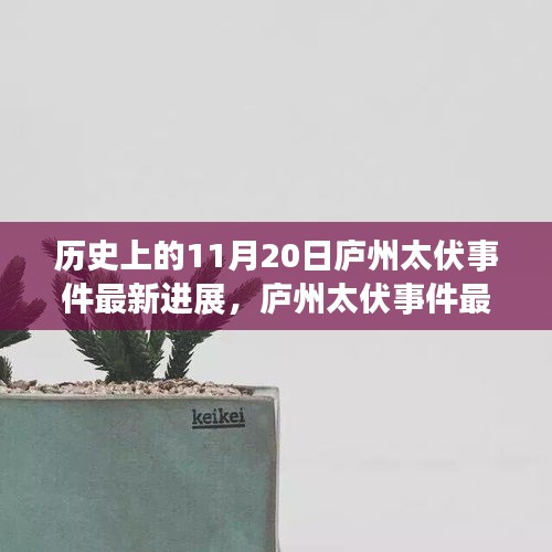 庐州太伏事件最新进展揭秘，历史变迁中的励志篇章与自信成就之源