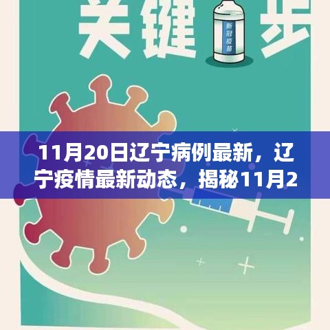 揭秘辽宁疫情最新动态，11月20日病例最新进展及疫情进展揭秘