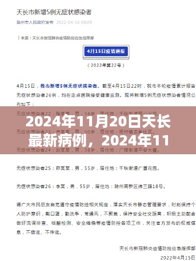 2024年11月20日天长最新病例，2024年11月20日天长最新病例分析与防控措施探讨