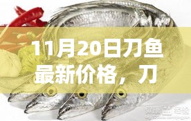 11月20日刀鱼最新价格，刀鱼跃金秋，知识赋能时——11月20日刀鱼最新价格的启示