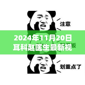 耳科赵医生分享，2024年听力健康前沿知识详解，最新视频发布！