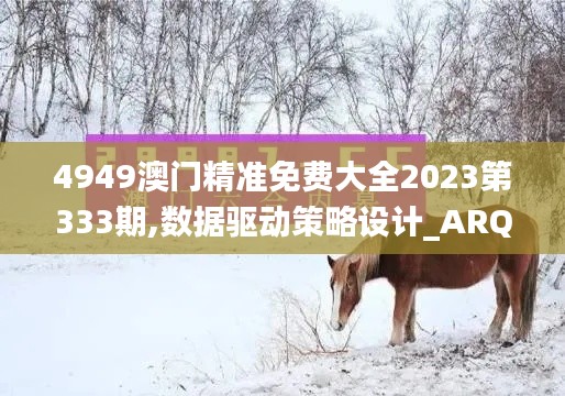 4949澳门精准免费大全2023第333期,数据驱动策略设计_ARQ7.38