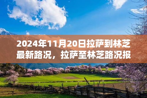 2024年11月20日拉萨至林芝最新路况报告与分析