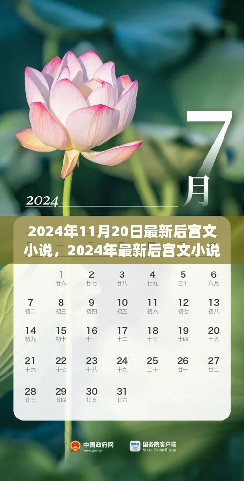 2024年11月20日最新后宫文小说，2024年最新后宫文小说探索，权力与情感的交织