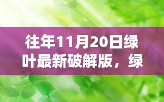 绿叶下的温馨时光，特别软件更新日的探索与体验