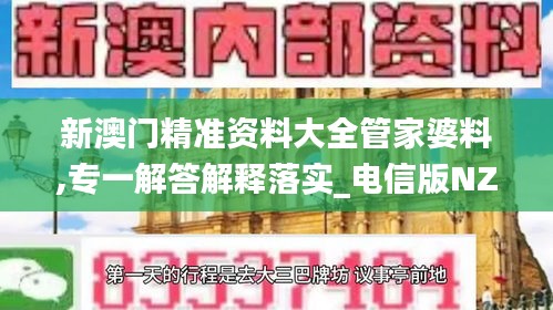 新澳门精准资料大全管家婆料,专一解答解释落实_电信版NZK3.76