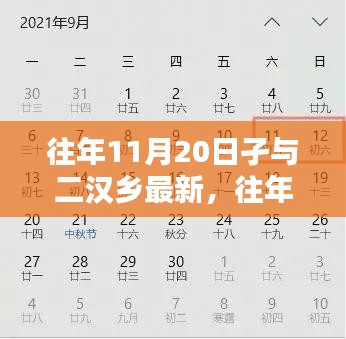 往年11月20日孑与二汉乡最新，往年11月20日孑与二汉乡产品全面评测，特性、体验、竞品对比与用户分析