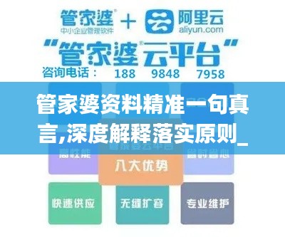 管家婆资料精准一句真言,深度解释落实原则_随身版KRA8.44