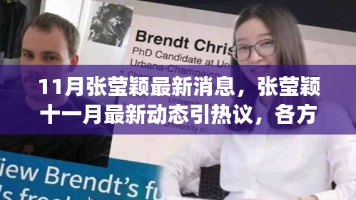 张莹颖最新动态引热议，十一月消息及各方观点深度剖析