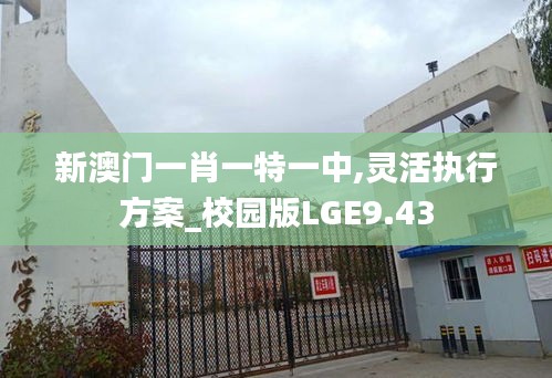 新澳门一肖一特一中,灵活执行方案_校园版LGE9.43