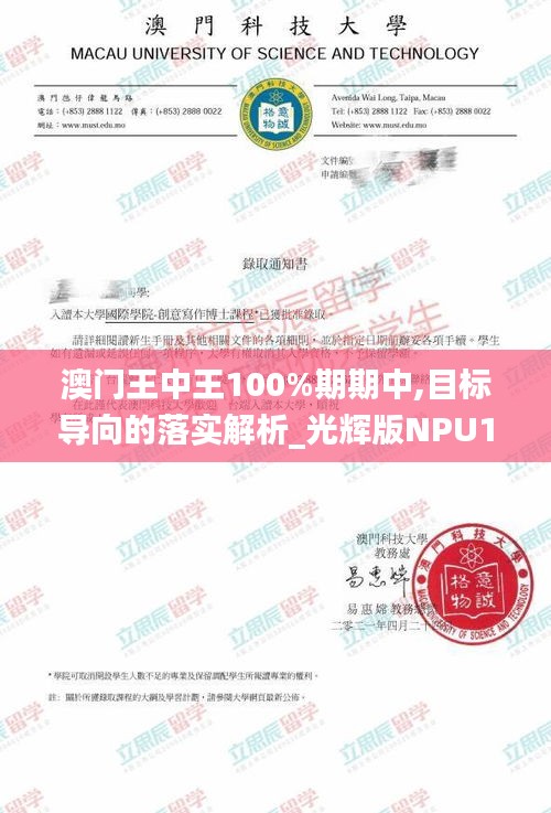 澳门王中王100%期期中,目标导向的落实解析_光辉版NPU1.26