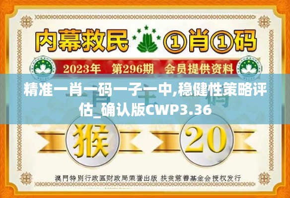 精准一肖一码一子一中,稳健性策略评估_确认版CWP3.36