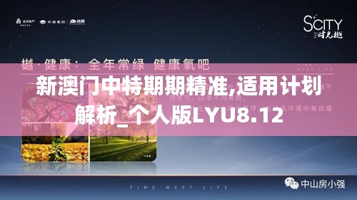 新澳门中特期期精准,适用计划解析_个人版LYU8.12