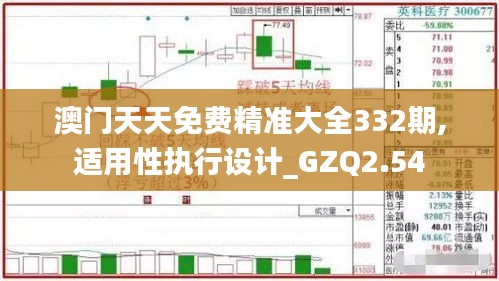 澳门天天免费精准大全332期,适用性执行设计_GZQ2.54