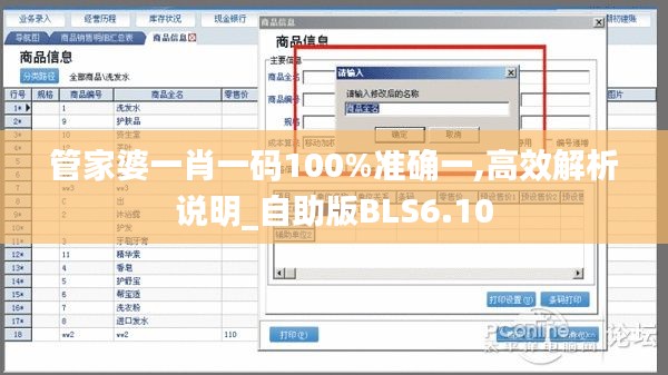 管家婆一肖一码100%准确一,高效解析说明_自助版BLS6.10