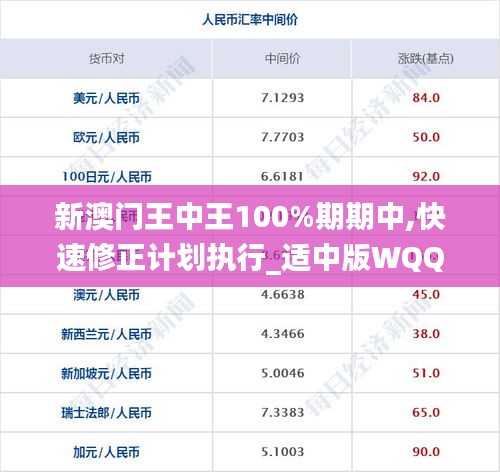 新澳门王中王100%期期中,快速修正计划执行_适中版WQQ2.46