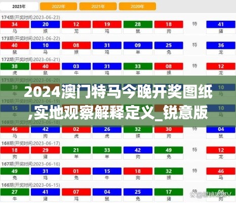 2024澳门特马今晚开奖图纸,实地观察解释定义_锐意版MEM1.20