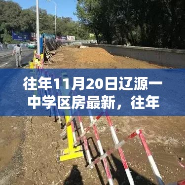 往年11月20日辽源一中学区房最新态势深度解析