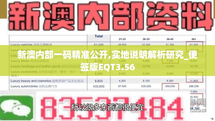 新澳内部一码精准公开,实地说明解析研究_便签版EQT3.56