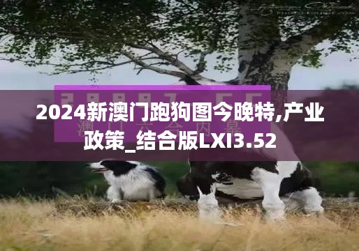 2024新澳门跑狗图今晚特,产业政策_结合版LXI3.52