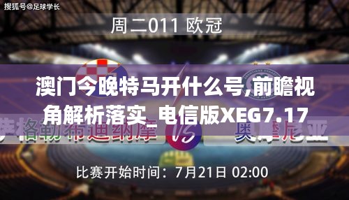 澳门今晚特马开什么号,前瞻视角解析落实_电信版XEG7.17