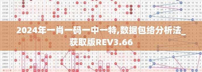 2024年一肖一码一中一特,数据包络分析法_获取版REV3.66