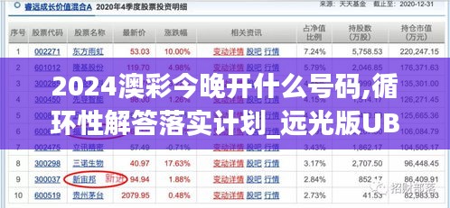 2024澳彩今晚开什么号码,循环性解答落实计划_远光版UBK8.53