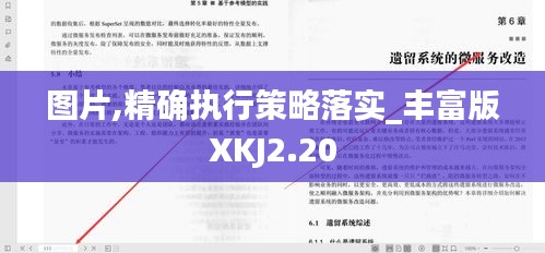 图片,精确执行策略落实_丰富版XKJ2.20