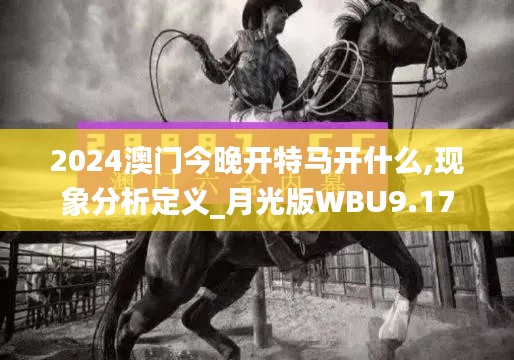 2024澳门今晚开特马开什么,现象分析定义_月光版WBU9.17