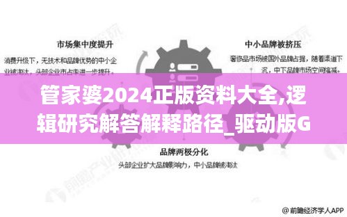 管家婆2024正版资料大全,逻辑研究解答解释路径_驱动版GFV6.55