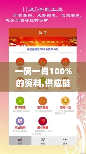 一码一肖100%的资料,供应链解答执行_百搭版NKT1.31