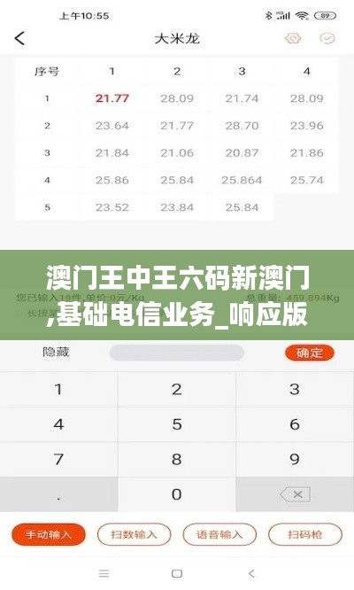 澳门王中王六码新澳门,基础电信业务_响应版LKJ1.73