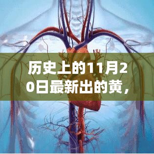 揭秘历史上的11月20日，重大事件与深远影响揭秘黄日期背后的故事