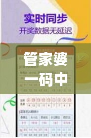 管家婆一码中一肖2024第331期,合规解答解释落实_ELZ5.77