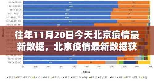 北京往年11月20日疫情数据概览及查询指南