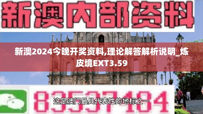 新澳2024今晚开奖资料,理论解答解析说明_炼皮境EXT3.59