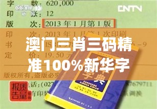 澳门三肖三码精准100%新华字典,重点探讨解答现象_便携版OOU2.20