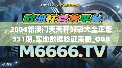 2004新澳门天天开好彩大全正版331期,实地数据验证策略_QGB7.18