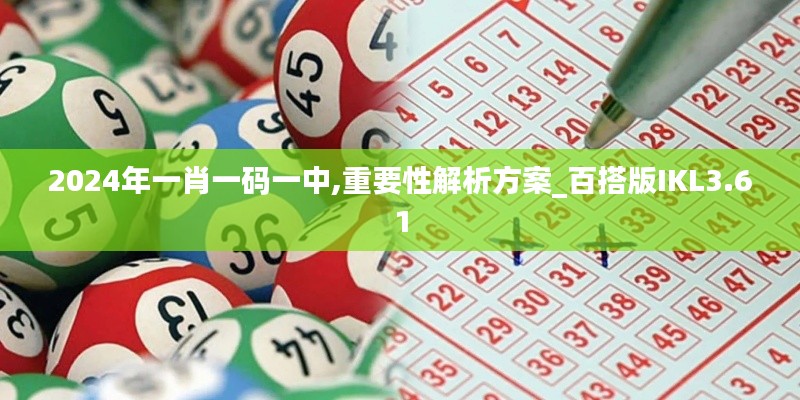 2024年一肖一码一中,重要性解析方案_百搭版IKL3.61