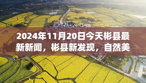 2024年11月20日今天彬县最新新闻，彬县新发现，自然美景之旅，心灵宁静的探寻之旅 —— 2024年11月20日最新新闻