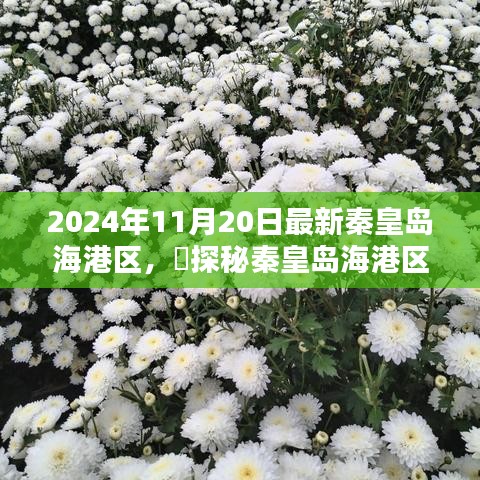 探秘秦皇岛海港区，揭秘2024年11月20日的崭新面貌！