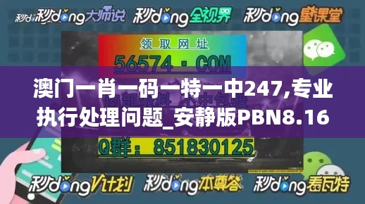 澳门一肖一码一特一中247,专业执行处理问题_安静版PBN8.16