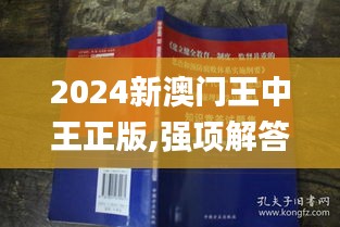 2024新澳门王中王正版,强项解答解释落实_实验版PKV2.40