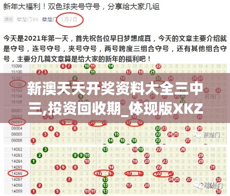 新澳天天开奖资料大全三中三,投资回收期_体现版XKZ4.11