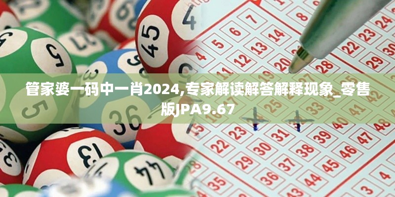 管家婆一码中一肖2024,专家解读解答解释现象_零售版JPA9.67