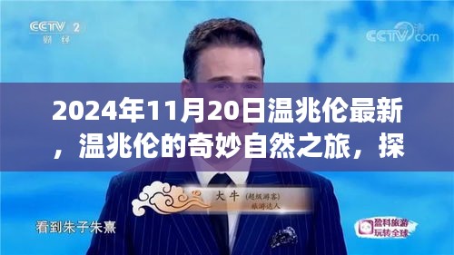 2024年11月20日温兆伦最新，温兆伦的奇妙自然之旅，探索美景，寻找内心的宁静与平和